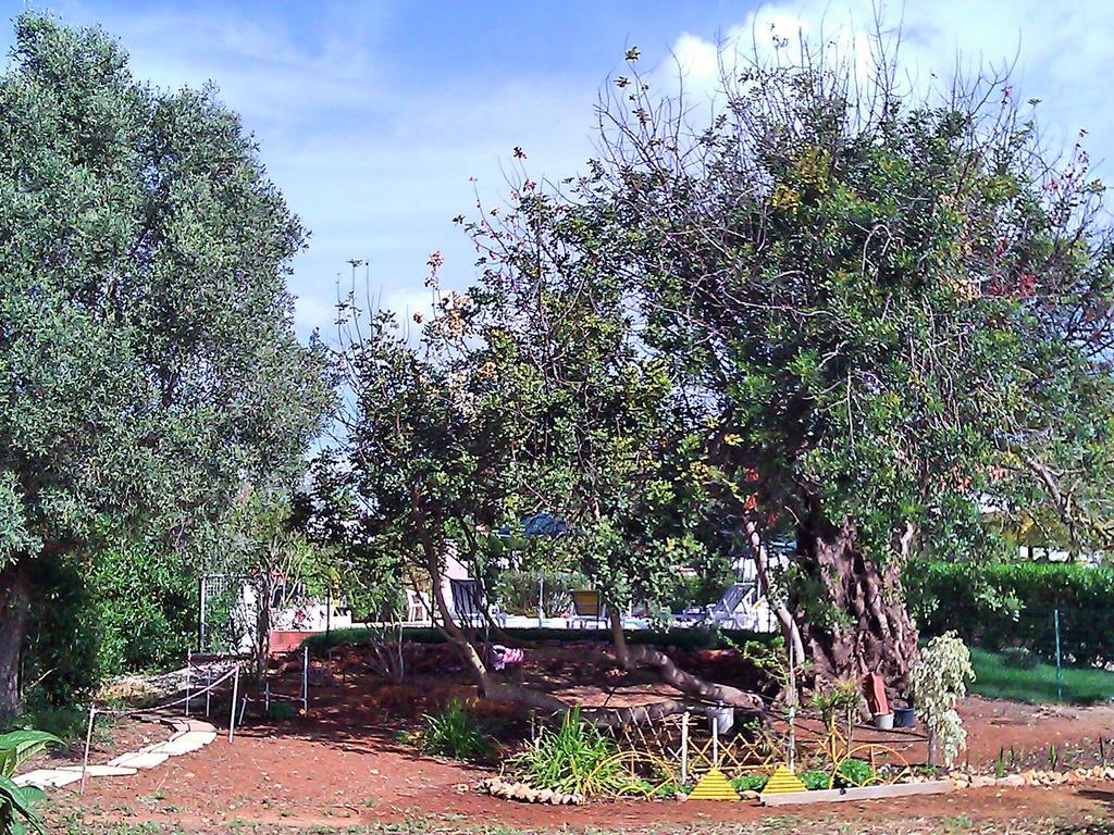 Villa Quinta Casalinho Albufeira Exterior foto